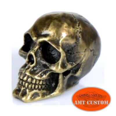 Skull Ornament emblem fender Brass